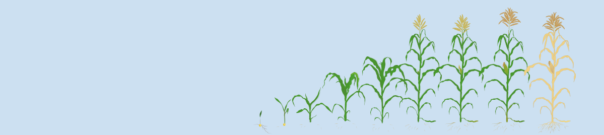 Products header