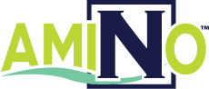 Ami no logo