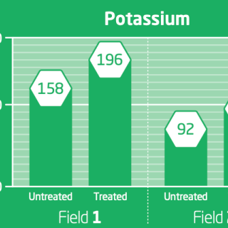 Potassium