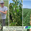 Will cox beans