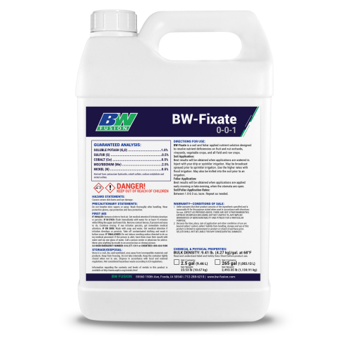 BW Fixate W1
