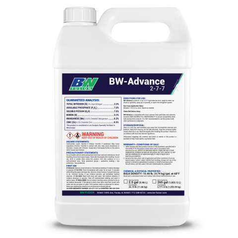 BW Advance W1