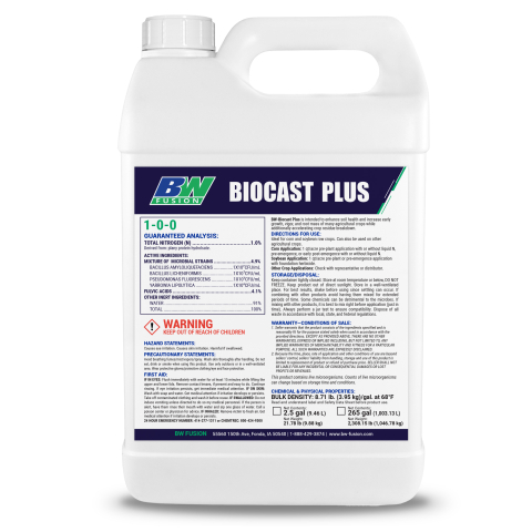 BW Bio Cast Plus W1