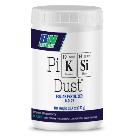 BW Pi K Si Dust W1