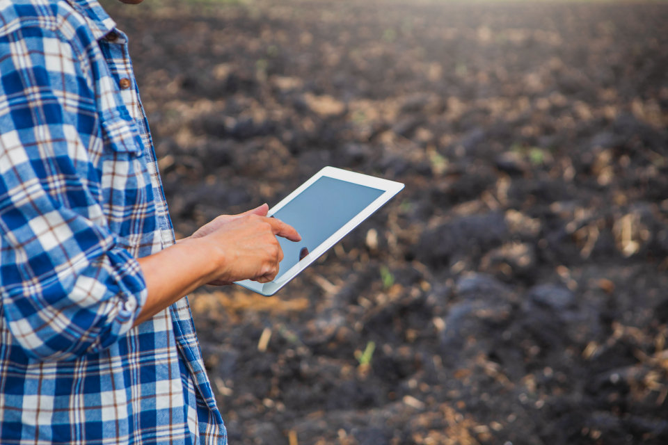 Agronomy 365 Program