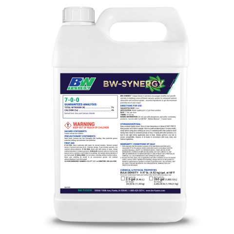 BW Synergy W1