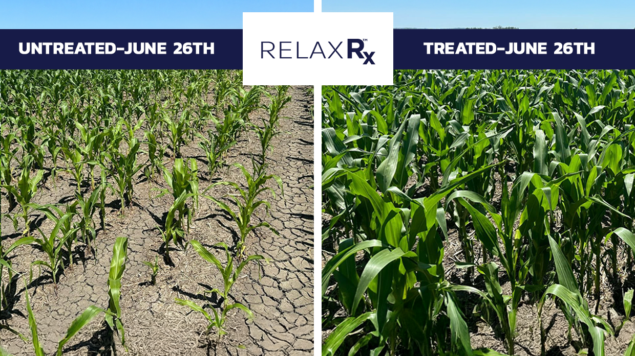 BWF Stress Less Treatedvs Untreated Relax RX v2