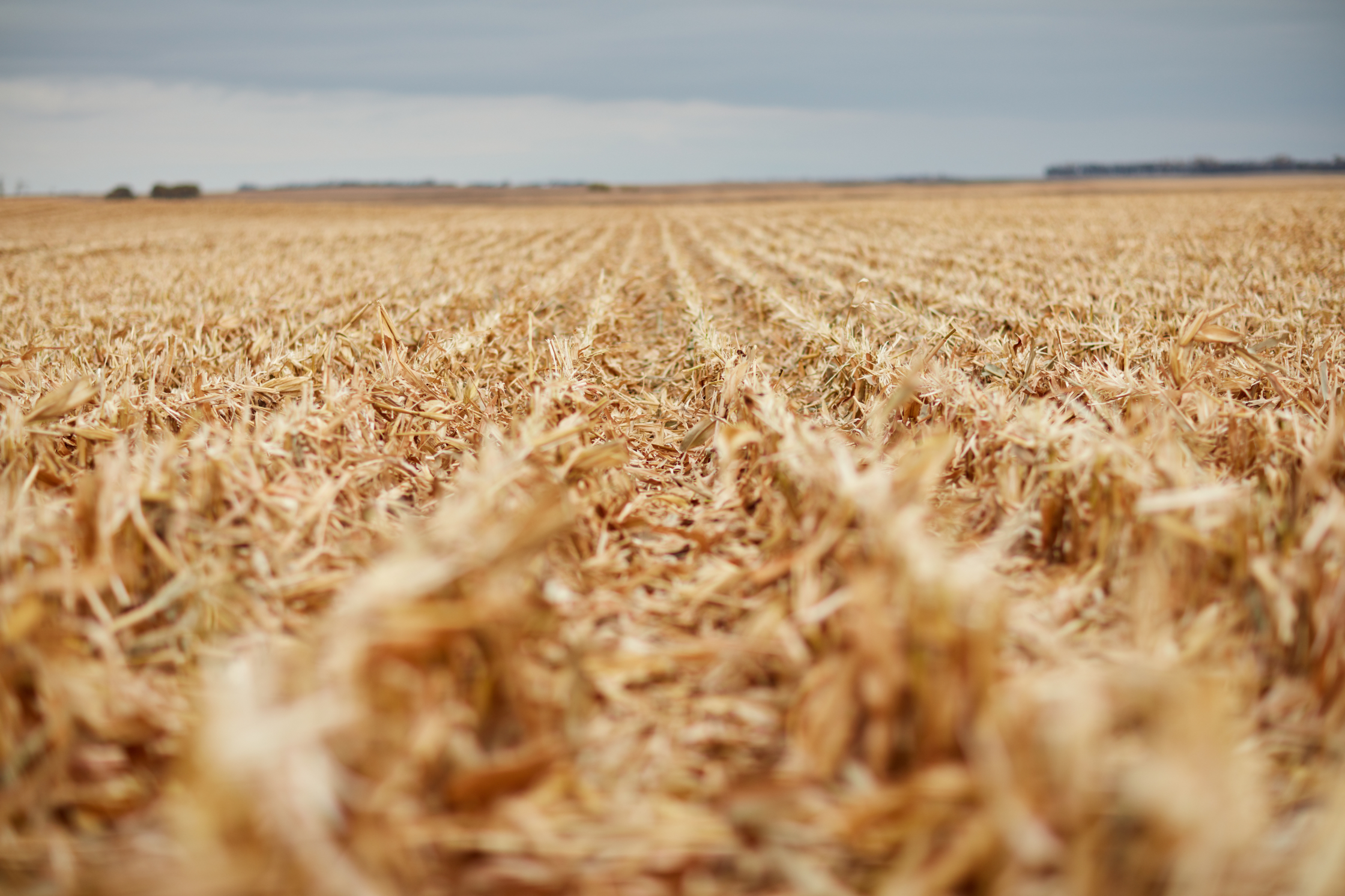 Harvest