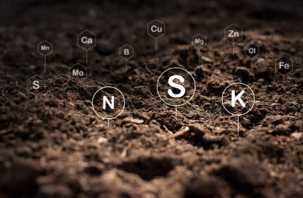 Soil-Nutrients