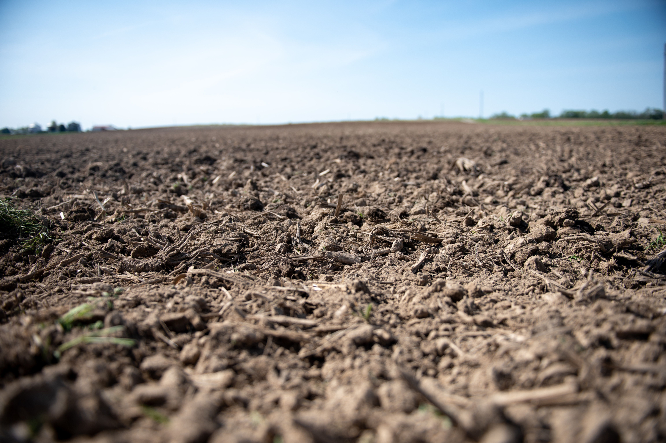 soil