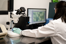 Biologicals