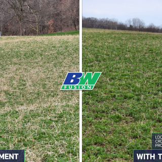 BW Fusion Biocast on Alfalfa Spring 2022