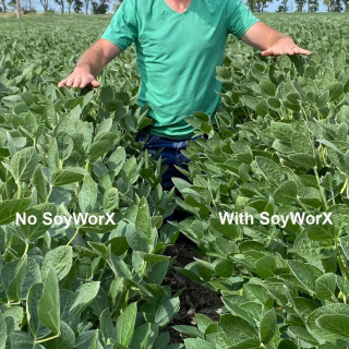 SoyWORX Height Difference