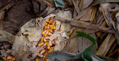 313986739 479550190816647 935871052334641583 n