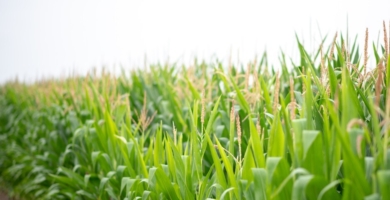 316691062 492806606157672 1651765570041235467 n