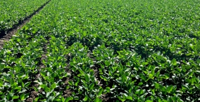 363419502 719443910194176 5875576439714389928 n