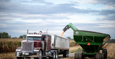Grain cart unloading into semi