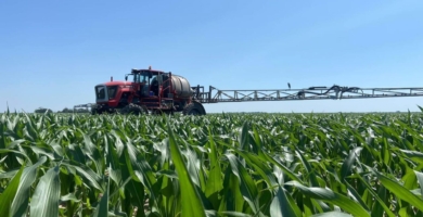 Full sun corn and PDP going on SW MO