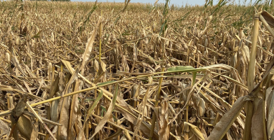 Image 20230331 161536 056