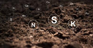 Soil-Nutrients