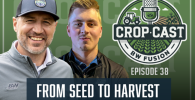 Seed to Harvest part2 v2