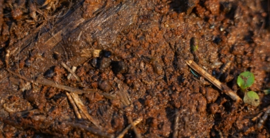 Ian talmacs 27 Ndlrp976w unsplash