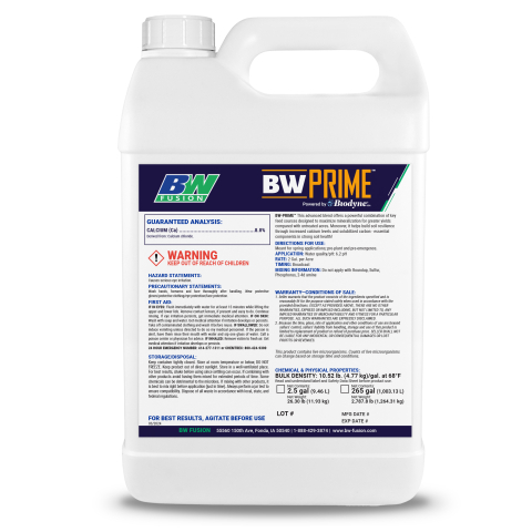 BW PRIME W1