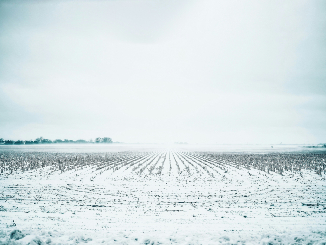 Shot by joe Ie5t Es5 VF Sc unsplash