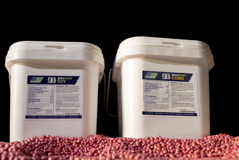 BB Product Shots 3