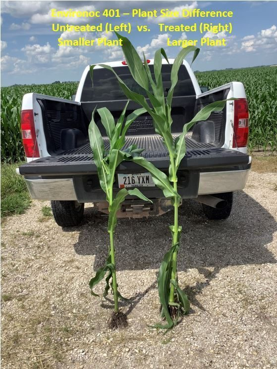Environoc 401 Jensen Field Plant Size 6 30 2021